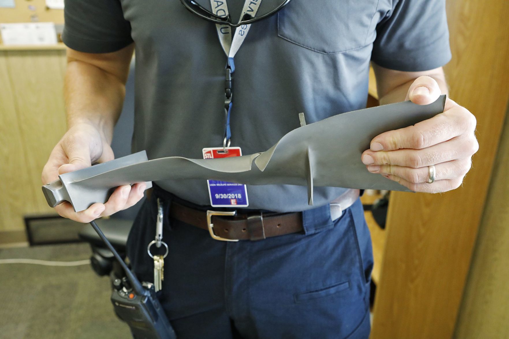 Keeping airplanes safe from birds is a full-time job